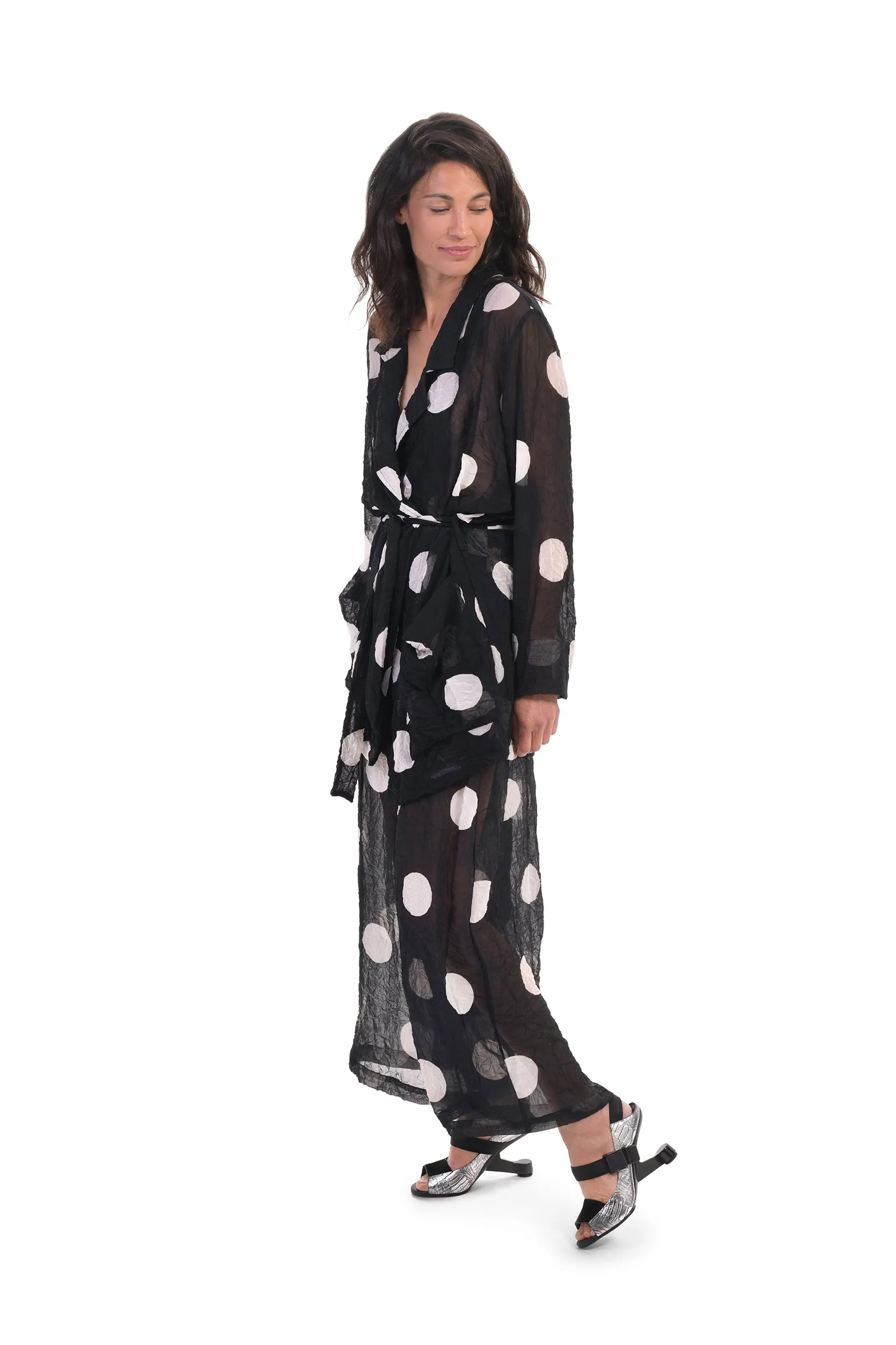 Alembika Chiffon Dot Palazzo Pant