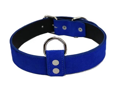 Blue Suede Dog Collar DC27