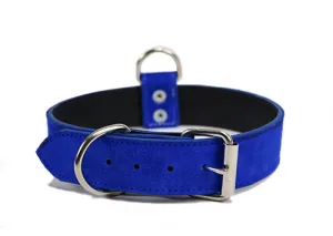 Blue Suede Dog Collar DC27