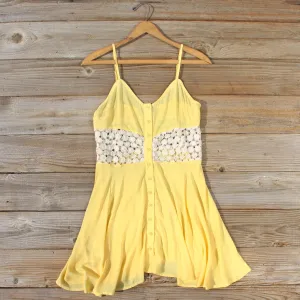 Dandelion & Lace Dress