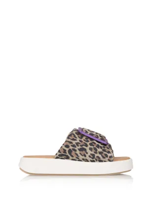 FOGO leopard - Slippers | Sand / Purple