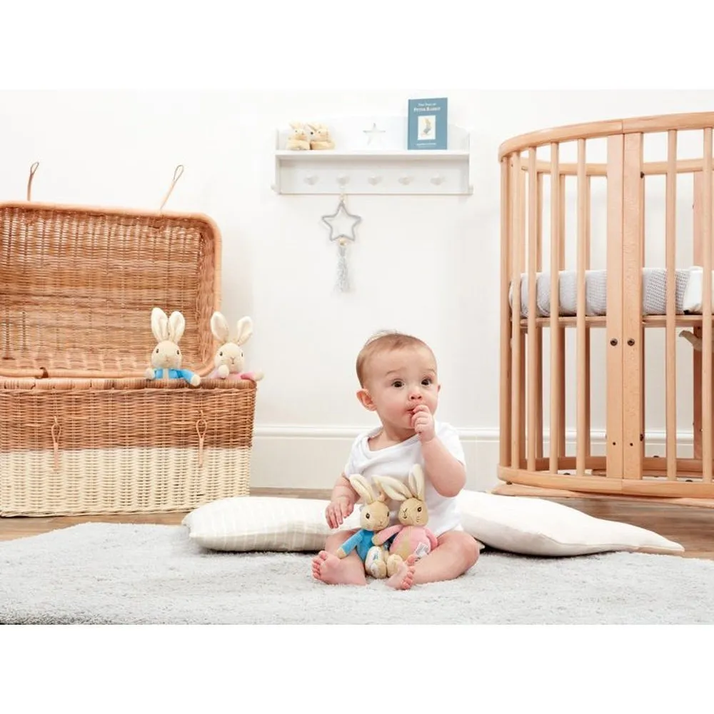 Peter Rabbit & Flopsy Bunny Plush Rattle
