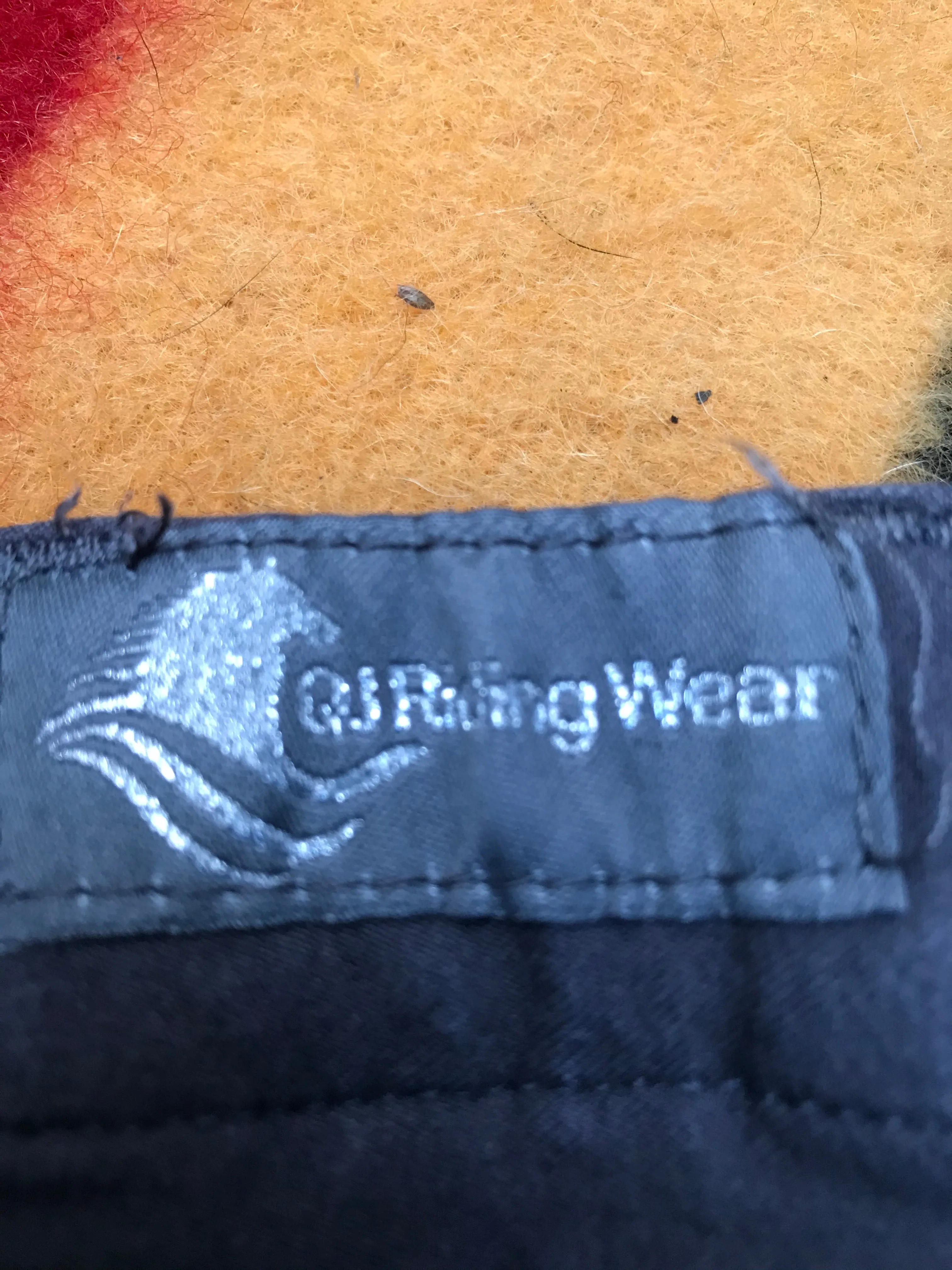 QJ riding wear size 6 grey and black breeches FREE POSTAGE