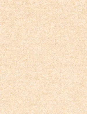 Suede Charade-raw silk