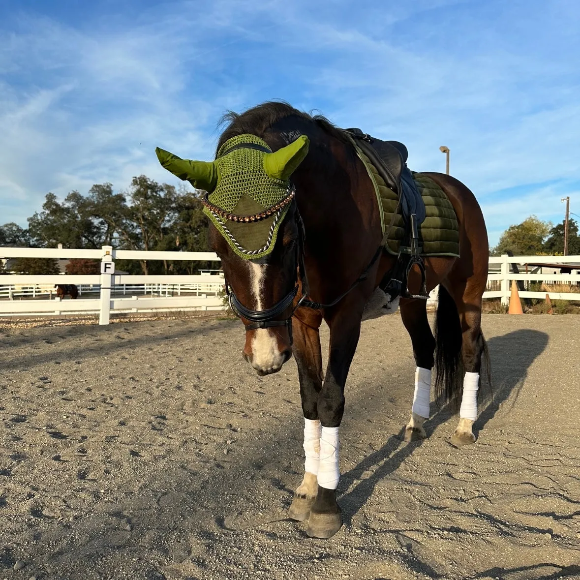 Suede Fly Ear Bonnet Hunter Green