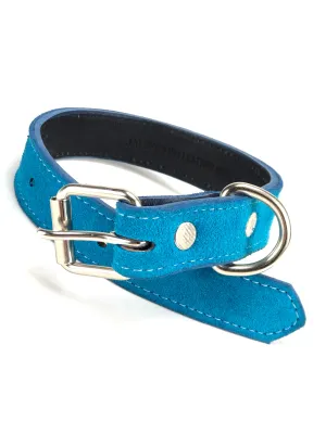 Turquoise Suede Dog Collar DC147